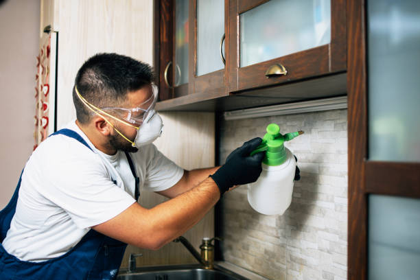 Best Pest Prevention Services  in Sandoval, IL