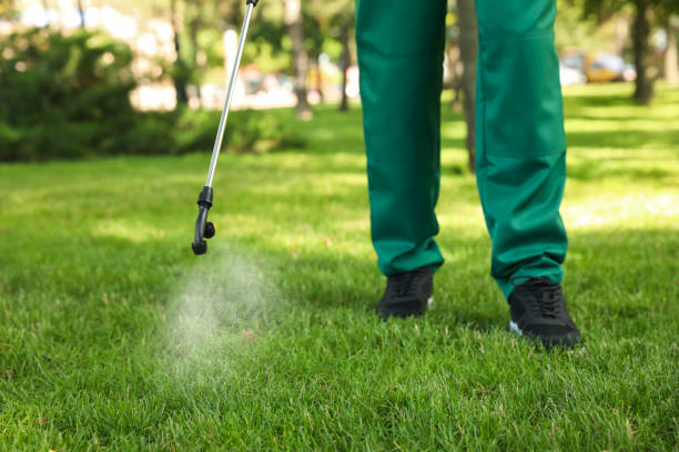 Best Rat Extermination Near Me  in Sandoval, IL