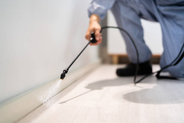 Best Bed Bug Extermination  in Sandoval, IL