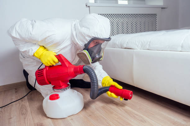 Best Local Pest Control Services  in Sandoval, IL