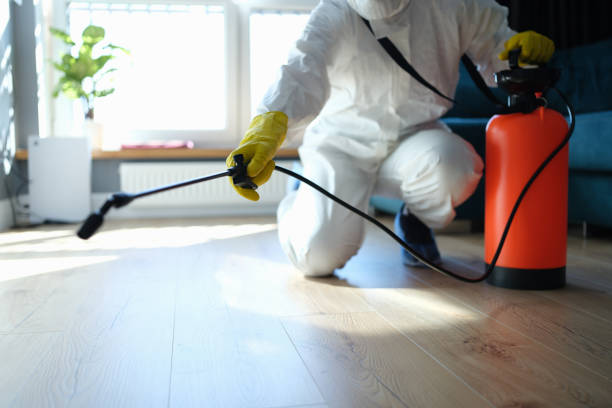 Best Insect Control  in Sandoval, IL