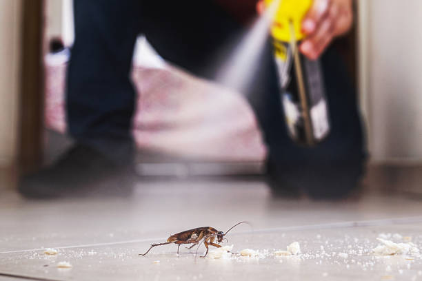 Best Exterminator Services  in Sandoval, IL