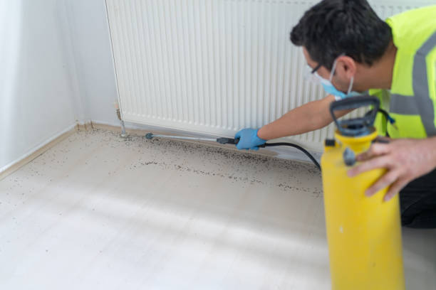 Best Best Pest Control Companies  in Sandoval, IL