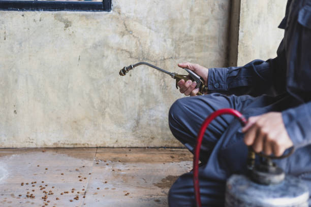 Best Commercial Pest Control Services  in Sandoval, IL