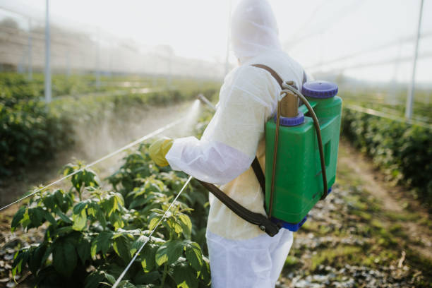 Best Affordable Pest Control Services  in Sandoval, IL